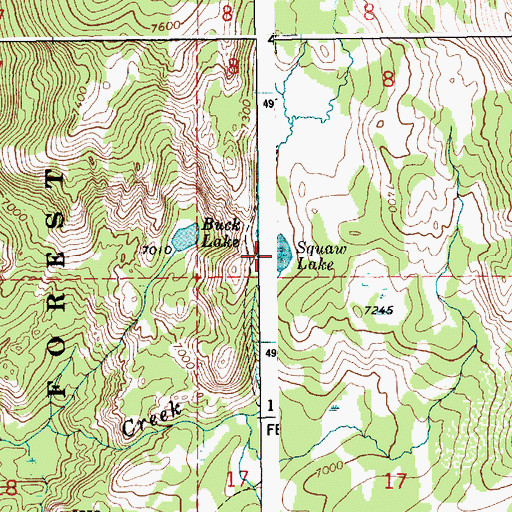 Topographic Map of Squaw Lake, ID