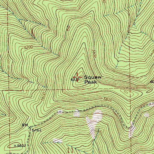Topographic Map of Spotwean Peak, ID