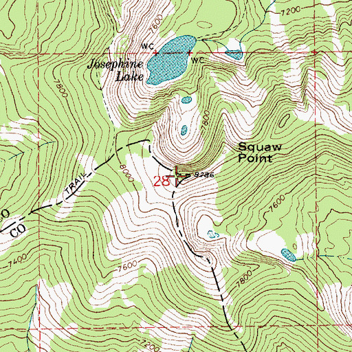Topographic Map of Squaw Point, ID