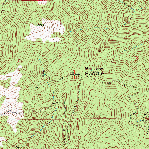 Topographic Map of Squaw Saddle, ID