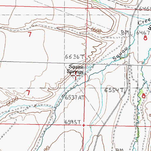 Topographic Map of Squaw Springs, ID