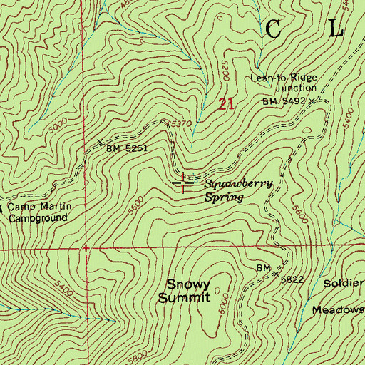 Topographic Map of Squawberry Spring, ID