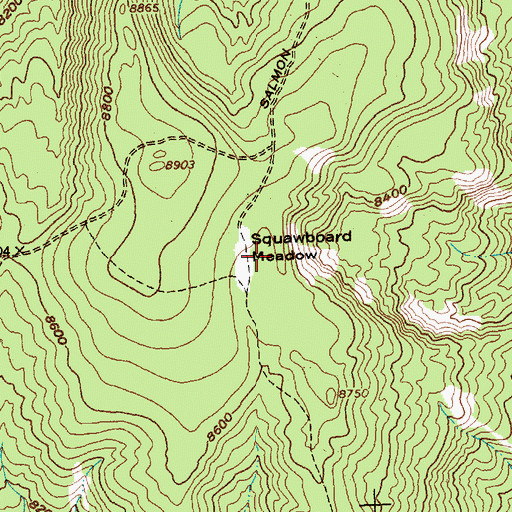 Topographic Map of Squawboard Meadow, ID