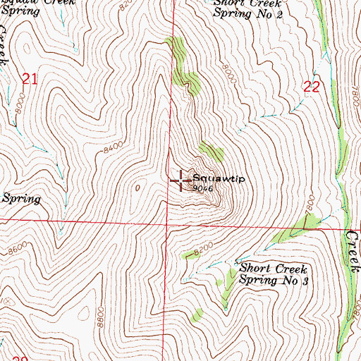 Topographic Map of Squawtit, ID