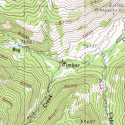 Topographic Map of Squirrel Creek, ID