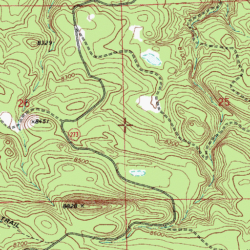 Topographic Map of Sawmill Spring, AZ