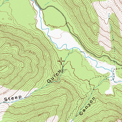 Topographic Map of Steep Gulch, ID