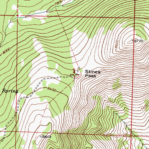 Topographic Map of Stines Pass, ID