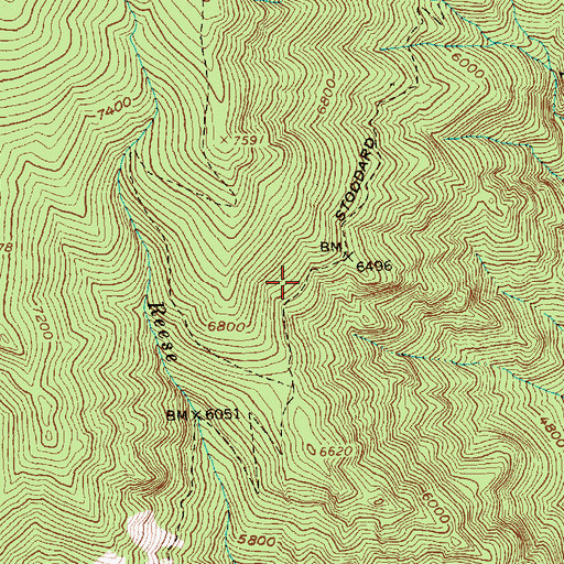 Topographic Map of Stoddard Trail, ID
