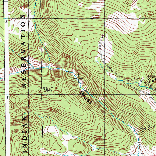 Topographic Map of Spruce Spring, AZ