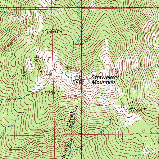 Topographic Map of Strawberry Mountain, ID