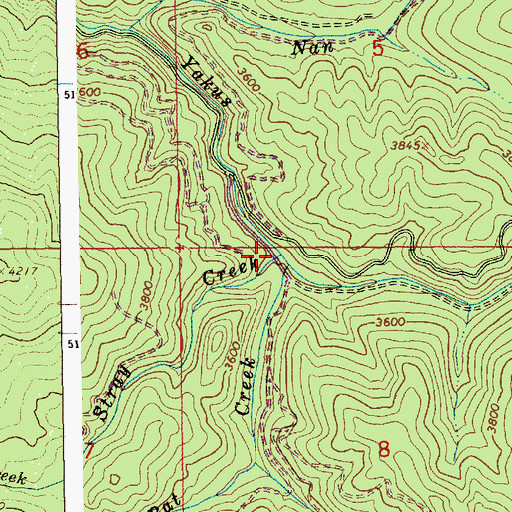 Topographic Map of Stray Creek, ID