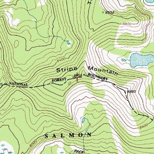 Topographic Map of Stripe Mountain, ID