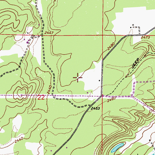 Topographic Map of Strong Island, ID