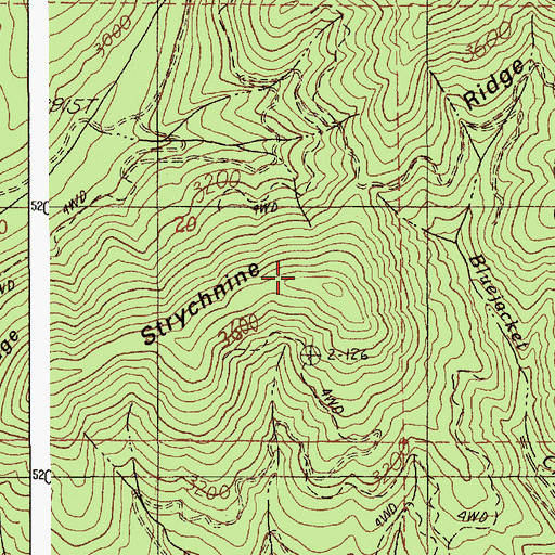 Topographic Map of Strychnine Ridge, ID