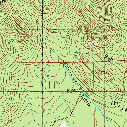Topographic Map of Stanford Spring, AZ
