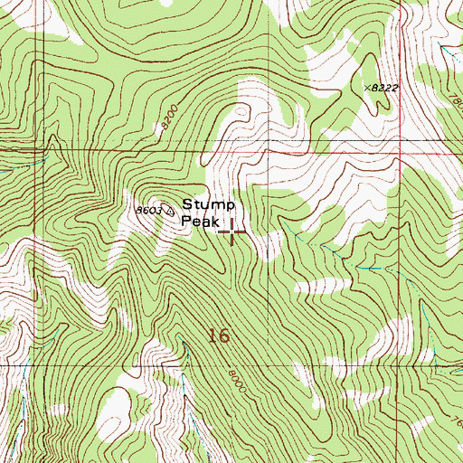 Topographic Map of Stump Peak, ID