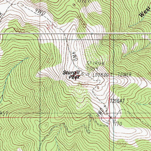 Topographic Map of Sturgill Peak, ID