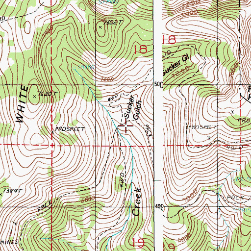 Topographic Map of Sucker Gulch, ID