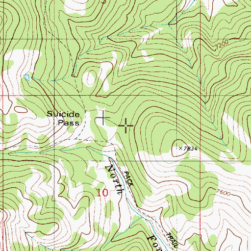 Topographic Map of Suicide Pass, ID