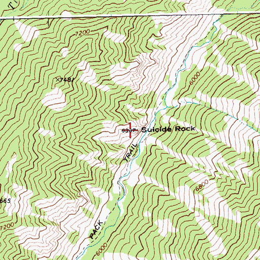 Topographic Map of Suicide Rock, ID