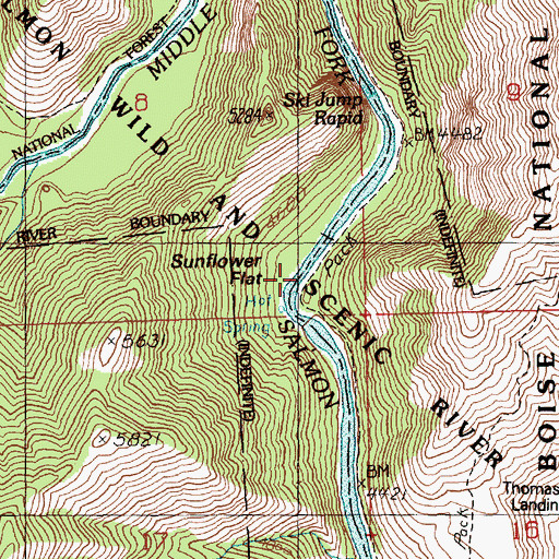 Topographic Map of Sunflower Flat, ID