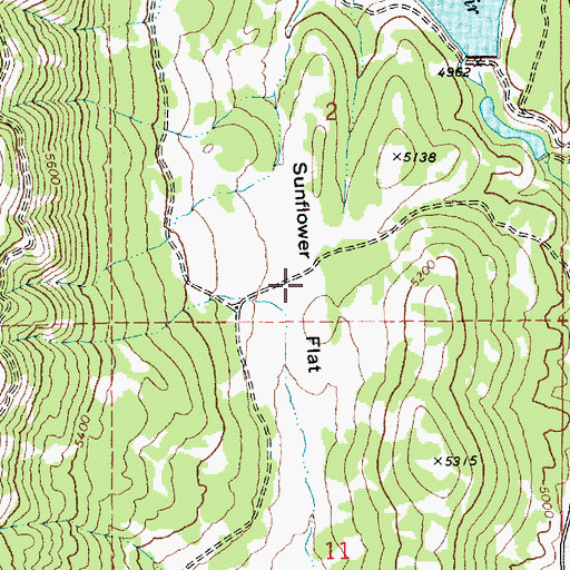 Topographic Map of Sunflower Flat, ID