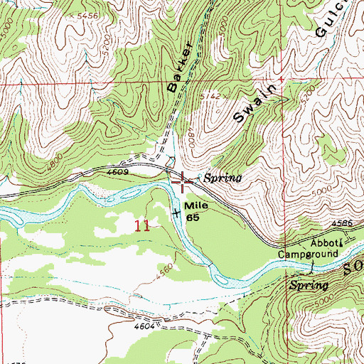 Topographic Map of Swain Gulch, ID