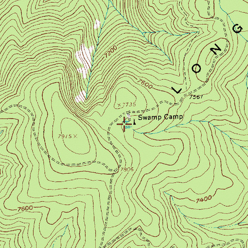 Topographic Map of Swamp Camp, ID