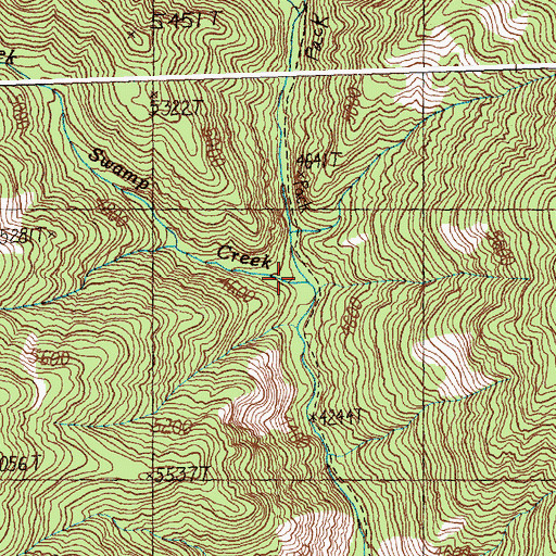 Topographic Map of Swamp Creek, ID