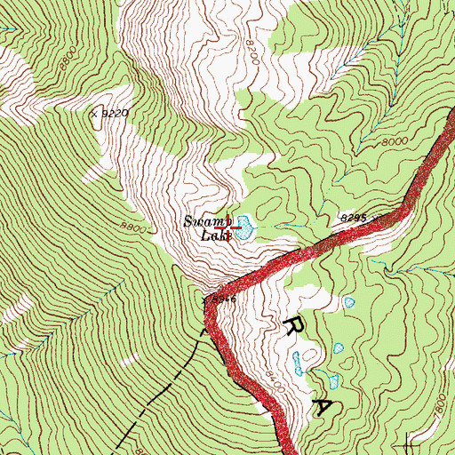 Topographic Map of Swamp Lake, ID