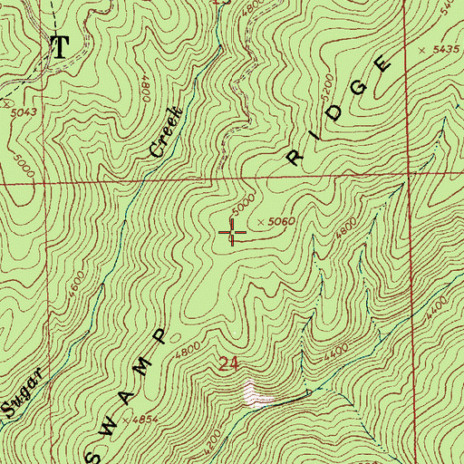 Topographic Map of Swamp Ridge, ID