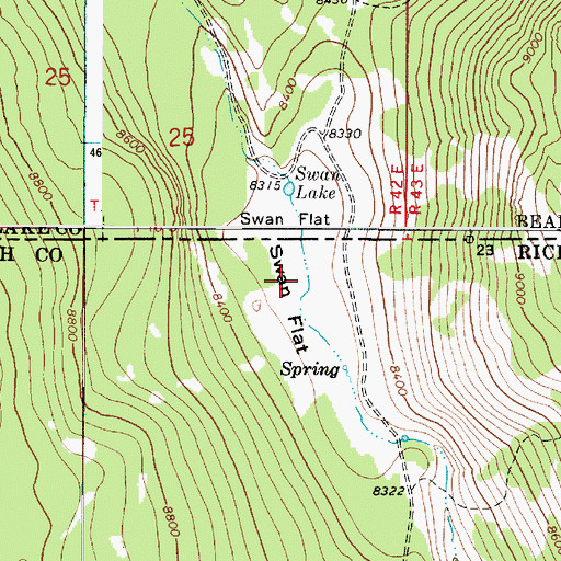 Topographic Map of Swan Flat, UT