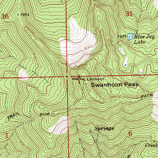 Topographic Map of Swanholm Peak, ID