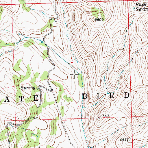 Topographic Map of Swanty Creek, ID
