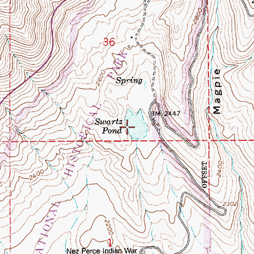 Topographic Map of Swartz Pond, ID