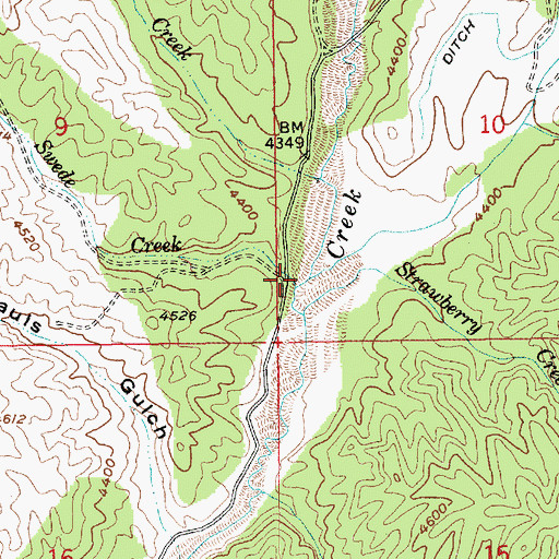 Topographic Map of Swede Creek, ID