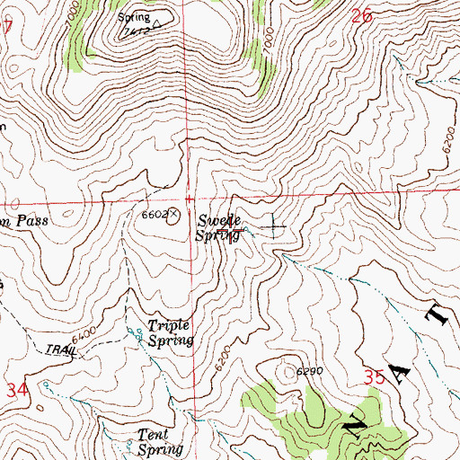 Topographic Map of Swede Spring, ID