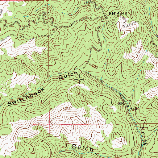 Topographic Map of Switchback Gulch, ID