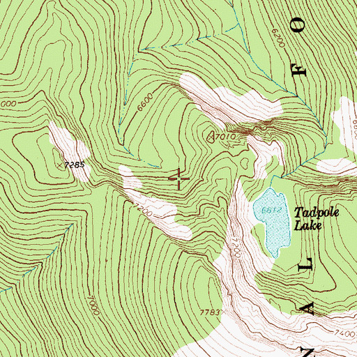 Topographic Map of Tadpole Lake, ID