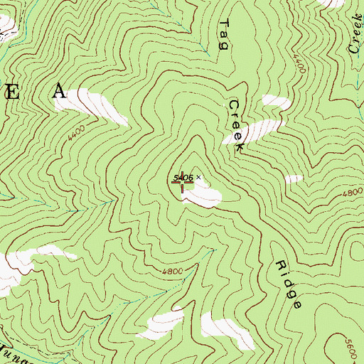 Topographic Map of Tag Creek Ridge, ID