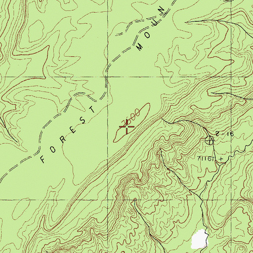 Topographic Map of Upper Forest Mountain, AZ