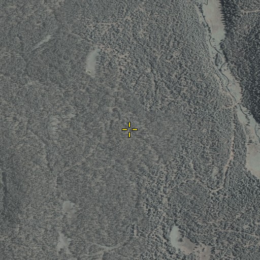 Aerial/Satellite Image of West Fork Campground, AZ