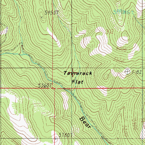 Topographic Map of Tamarack Flat, ID