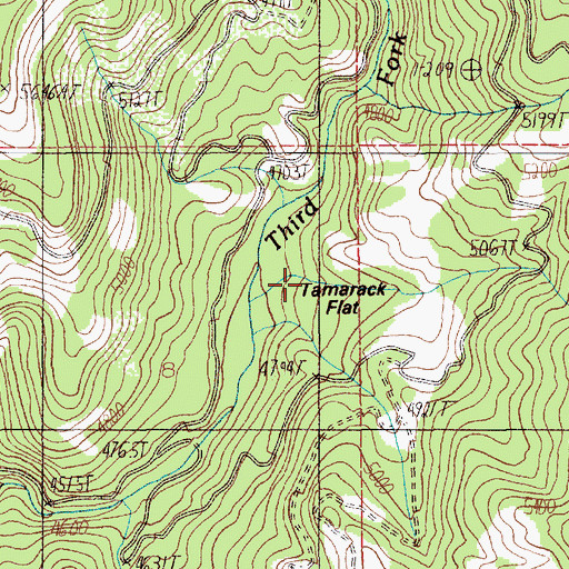 Topographic Map of Tamarack Flat, ID