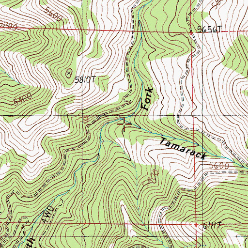 Topographic Map of Tamarack Gulch, ID