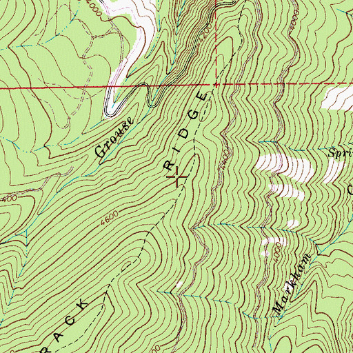 Topographic Map of Tamarack Ridge, ID