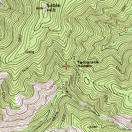 Topographic Map of Tamarack Saddle, ID