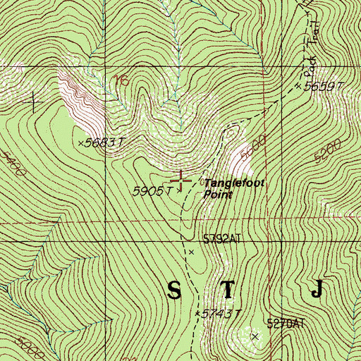 Topographic Map of Tanglefoot Point, ID
