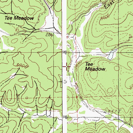 Topographic Map of Tee Meadow, ID